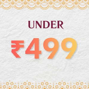 Items Under ₹499